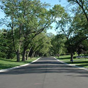 Fresh street web.jpg